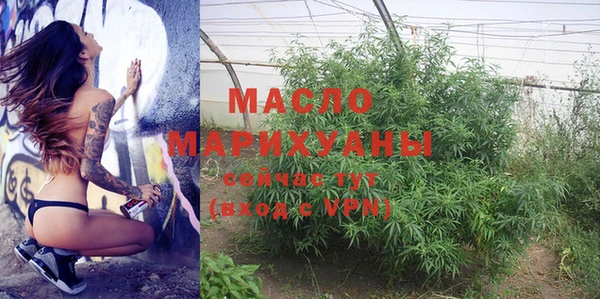 молекула духа Медвежьегорск