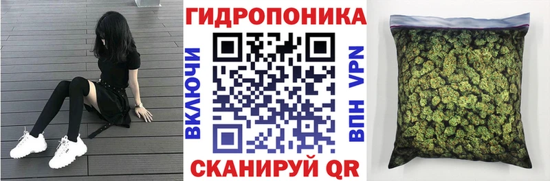 Каннабис ГИДРОПОН Орлов